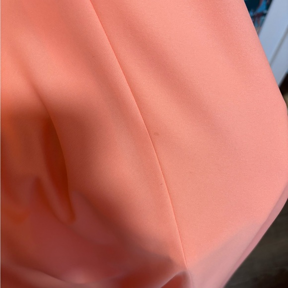 Vintage A-line Dress with Sheer Panel and Rosette - Picture 8 of 8